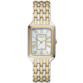 FOSSIL RAQUEL MULTICOLOR ANALOG