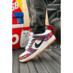 NIKE SB DUNK PRO Abstract Art