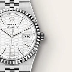 THE ROLEX LAND-DWELLER