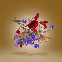 XERJOFF OUD STARS FARS