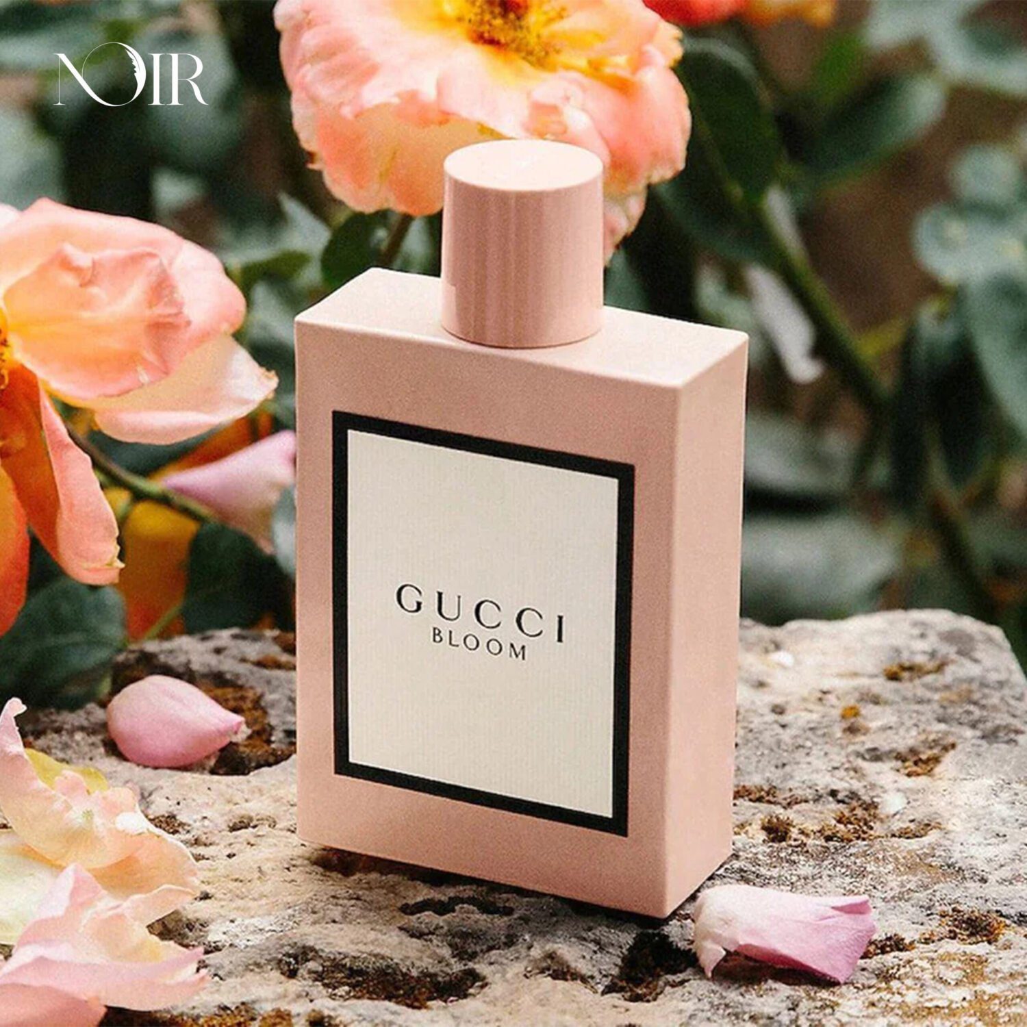 GUCCI BLOOM